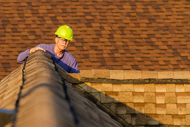 Roof Gutter Cleaning in Glenwood, GA