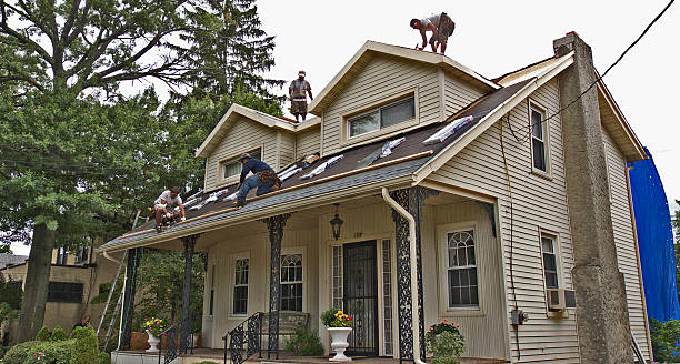 Best Storm Damage Roof Repair  in Glenwood, GA
